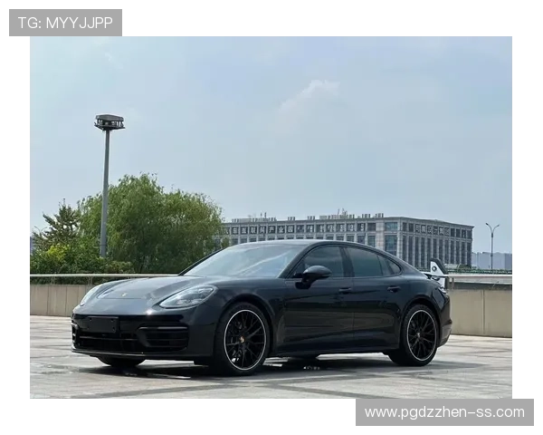 保时捷pg娱乐官网下载平台优化用户界面，提升客户购车与售后服务的整体体验